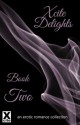 Xcite Delights - Book Two: An Erotic Romance Collection - Giselle Renarde, Lynn Lake, Kay Jaybee, Alex Severn, Dominic Santi, Demelza Hart, Darla White, Landon Dixon