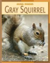 Gray Squirrel - Barbara A. Somervill