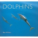 Dolphins - Ben Wilson