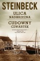 Ulica Nadbrzeżna. Cudowny czwartek - John Steinbeck