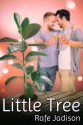 Little Tree - Rafe Jadison