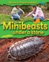 Minibeasts Under a Stone - Sarah Ridley