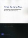 Where the Money Goes: Understanding Litigant Expenditures for Producing Electronic Discovery - Nicholas M. Pace, Laura Zakaras