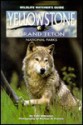 Yellowstone and Grand Teton National Parks (Wildlife Watcher's Guide) - Todd Wilkinson, Michael H. Francis, Michael Harlowe Francis