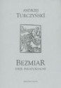 Bezmiar. Eseje paradoksalne - Andrzej Turczyński