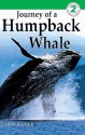 Journey of a Humpback Whale - Caryn Jenner