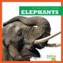 Elephants - Mary Lindeen