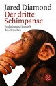 Der dritte Schimpanse: Evolution und Zukunft des Menschen - Jared Diamond, Volker Englich