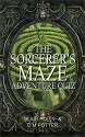 The Sorcerer's Maze (Adventure Quiz Book 1) - Blair Polly, DM Potter