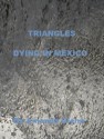 Triangles - Dying In Mexico Taylor Books - Amanda Glenn