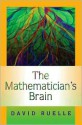 The Mathematician's Brain: A Personal Tour Through the Essentials of Mathematics and Some of the Great Minds Behind Them - David Ruelle