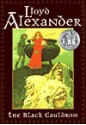 The Black Cauldron (Chronicles Of Prydain) - Lloyd Alexander