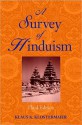 Survey of Hinduism, A - Klaus K. Klostermaier