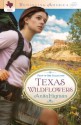 Texas Wildflowers: Four-in-One Collection (Romancing America) - Anita Higman