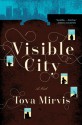 Visible City - Tova Mirvis