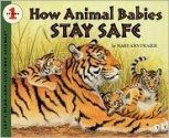 How Animal Babes Stay Safe - Mary Ann Fraser