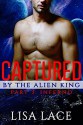 Captured by the Alien King Part 3: Inferno: A BBW SciFi Alien Serial Romance - Lisa Lace