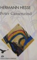 Peter Camenzind - Hermann Hesse, Kâmuran Şipal