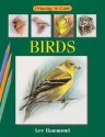 Drawing in Color: Birds - Lee Hammond