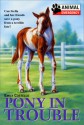 Pony in Trouble - Emily Costello, Larry Day