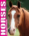 Horses Photo Fact Collection - Kidsbooks Staff