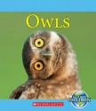 Owls (Nature's Children (Children's Press Paperback)) - Josh Gregory