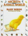 Baby Birds: Growing And Flying (Secrets Of The Animal World) - Eulalia Garcia