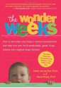 The Wonder Weeks. How to stimulate your baby's mental development and help him turn his 8 predictable, great, fussy phases into magical leaps forward - Hetty van de Rijt, Frans Plooij