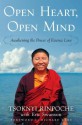 Open Heart, Open Mind: Awakening the Power of Essence Love - Tsoknyi Rinpoche, Eric Swanson