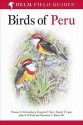 Field Guide To The Birds Of Peru - Thomas S. Schulenberg, Douglas F. Stotz, Daniel F. Lane, John P. O'Neill