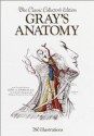 Gray's Anatomy - Henry Gray, Peter L. Williams