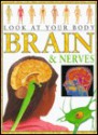 Brain and Nerves - Steve Parker, Ian Thompson