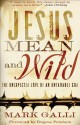 Jesus Mean and Wild: The Unexpected Love of an Untamable God - Mark Galli