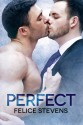 Perfect (Soulmates #3) - Felice Stevens