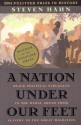 A Nation Under Our Feet: Black Political Struggles in the Rural South from Slavery to the Great Migration - Steven Hahn