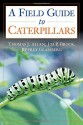 Caterpillars in the Field and Garden: A Field Guide to the Butterfly Caterpillars of North America (Butterflies Through Binoculars) - Thomas J. Allen, James P. Brock, Jeffrey Glassberg