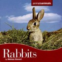 Rabbits - Melissa Stewart