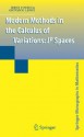 Modern Methods in the Calculus of Variations: LP Spaces - Irene Fonseca, Giovanni Leoni