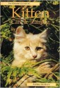 Kitten Care and Training - Ringpress Books