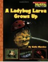 A Ladybug Larva Grows Up (Scholastic News Nonfiction Readers: Life Cycles) - Katie Marsico