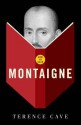 How To Read Montaigne - Terence Cave