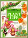 Mysteries & Marvels Of Plant Life - Barbara Cork