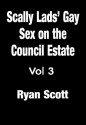 Gay Sex Stories Vol 3 - Scally Lads' Gay Sex On The Council Estate - Ryan Scott