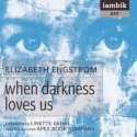 When Darkness Loves Us - Elizabeth Engstrom