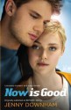 Now is Good (Also published as Before I Die) - Jenny Downham