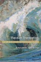 Race in Translation: Culture Wars Around the Postcolonial Atlantic - John Taylor, Ella Shohat, Robert Stam