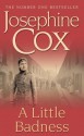 A Little Badness - Josephine Cox