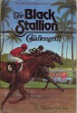 The Black Stallion Challenged! - Walter Farley