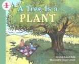 Tree Is A Plant (Let's Read And Find Out) - Clyde Robert Bulla