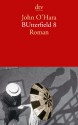 BUtterfield 8: Roman - John O'Hara, Klaus Modick